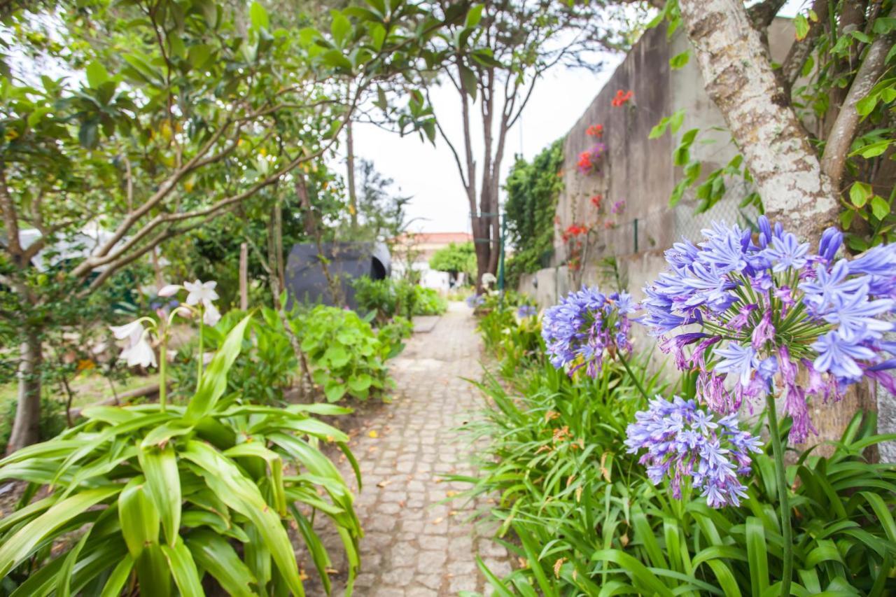 Beautiful Country House&Romantic Garden Sintra Extérieur photo