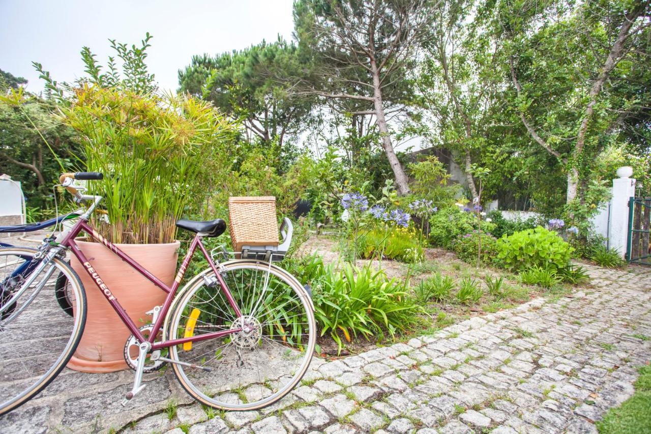 Beautiful Country House&Romantic Garden Sintra Extérieur photo